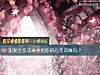 《测爱会变成毒素把你的心变成魔吗?》测试