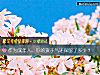 《作为成年人,你的孩子气还保留了多少?》测试