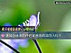《测试你未来的<i>伴侣</i>是喜欢阅读的人吗?》测试