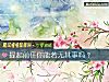 《提起<i>前任</i>你能若无其事吗？》测试