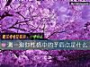 《测一测你性格中的<i>矛盾</i>点是什么》测试