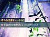 《你最终会嫁给比自己小的<i>男人</i>吗?》测试