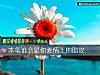 《本年谁会是你<i>爱情</i>上的助攻》测试