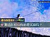 《测试你和ta有必要试婚吗?》测试