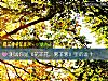 《测试你是《花非花,雾非雾》里的谁?》测试