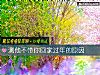 《测他不带你回家过年的<i>原因</i>》测试