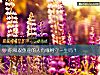 《你和双鱼座的人有缘相守<i>一生</i>吗?》测试