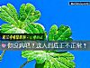 《你没病吧?这人到底正不正常?》测试