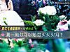 《测一测你可以随意买买买吗?》测试