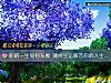 《你的一生如何发展 测终生运解答你的<i>人生</i>困惑》测试