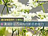 《测测你是否具有创新思维能力》测试