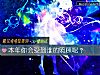 《<i>本年</i>你会受到谁的照顾呢?》测试