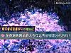 《免费测算属羊的人今年运势能够逢凶化吉吗?》测试