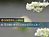 《本年哪些数字可以给你带来<i>好运</i>呢?》测试