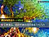 《旧情难忘，<i>面对</i>伤痛你的自愈能力有几分》测试