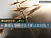 《测他在<i>感情</i>中会不断迁就你吗?》测试