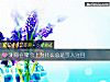 《测你在聚会上为什么总是引人注目》测试