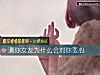 《测你<i>女友</i>为什么会对你变心》测试