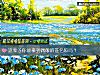 《这辈子你能拿到<i>偶像</i>的签名照吗?》测试