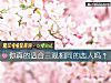 《你真的<i>适合</i>三观相同的恋人吗?》测试
