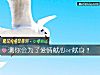 《测你会为了<i>爱情</i>献心or献身？》测试