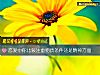 《<i>恋爱</i>中你比较注重物质条件还是精神方面》测试