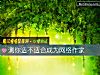 《测你适不<i>适合</i>成为网络作家》测试