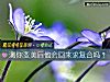 《测你变美后他会回来求<i>复合</i>吗?》测试