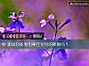 《测试你能够招架住父母的催婚吗?》测试