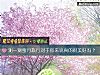 《测一测蜜月旅行对于你来说<i>真的</i>很美好吗?》测试