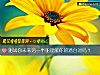 《测试你未来<i>另一半</i>能理解你的潜台词吗?》测试