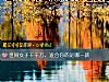 《世间女子千千万,<i>适合</i>你的是哪一款》测试
