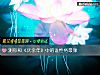 《测你和《庆余年》中的谁性格最像》测试