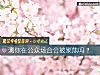 《测你在公众场合会被聚焦吗?》测试
