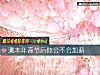 《测本年春节后你会不会<i>加薪</i>》测试