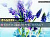 《你会不计前嫌的对待得罪过你的人吗?》测试