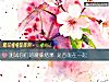 《测试你们的暧昧<i>结果</i> 是否能在一起》测试