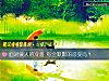 《面对<i>爱人</i>的冷落 你会默默的忍受吗?》测试