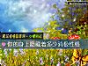 《你的<i>身上</i>隐藏着多少消极性格》测试