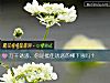 《万千诱惑,你是抵住诱惑的柳下惠吗?》测试