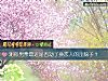 《测你男票最近是否动了换<i>恋人</i>的歪脑子?》测试