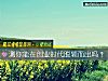 《测你能在<i>创业</i>时代脱颖而出吗?》测试