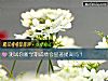 《测试你新学期成绩会显著<i>提高</i>吗?》测试