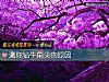 《测你钻牛角尖的<i>原因</i>》测试