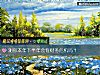 《测你本年下半年会有财务<i>危机</i>吗?》测试