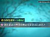 《测在<i>游戏</i>世界里你算是资深<i>游戏</i>玩家吗?》测试