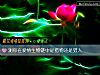 《测你在<i>爱情</i>生物链中是猎物还是猎人》测试