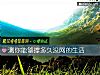 《测你能够撑多久没网的<i>生活</i>》测试