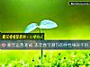 《新年运势测试 <i>本年</i>春节测你的异性缘好不好》测试