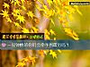 《一见钟情的你们会<i>牵手</i>到最后吗?》测试